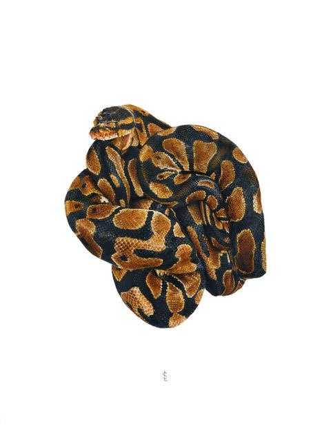 product_list_image_cover