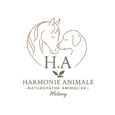 Bienvenue dans ma boutique en ligne dédiée au bien-être naturel de vos compagnons.