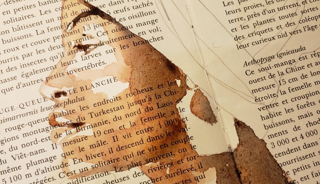 Oeuvre Totemic Original 
A l'encre sur papier illustré 