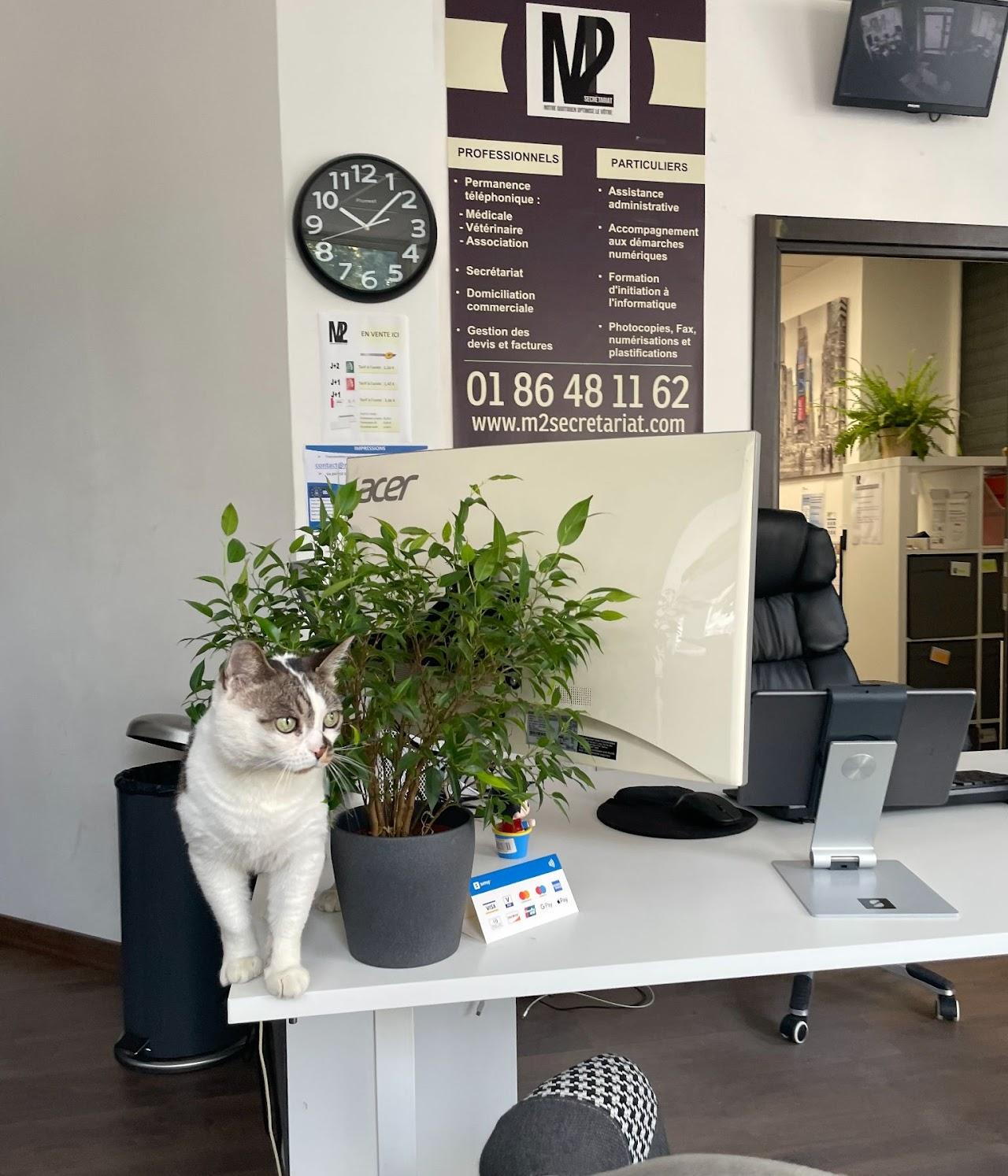 Services