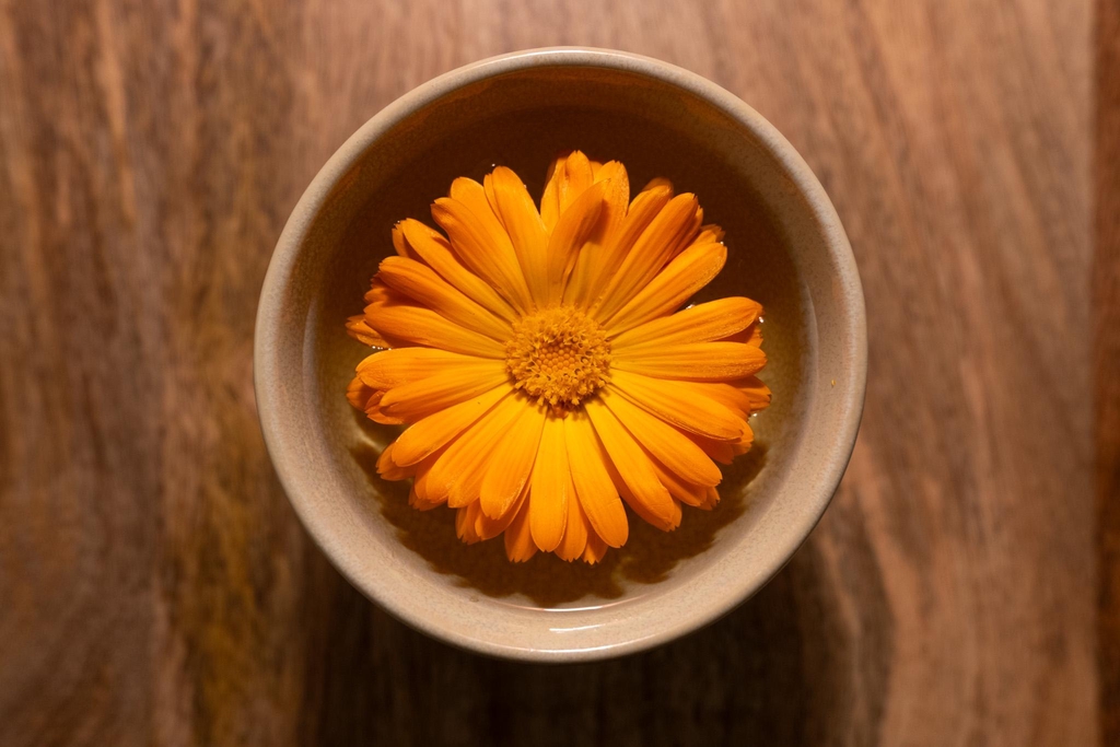 Organic, conscious herbal tea from Nature and the City