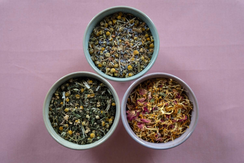 Nature and the City believes in the power of nature to awaken creativity through the senses