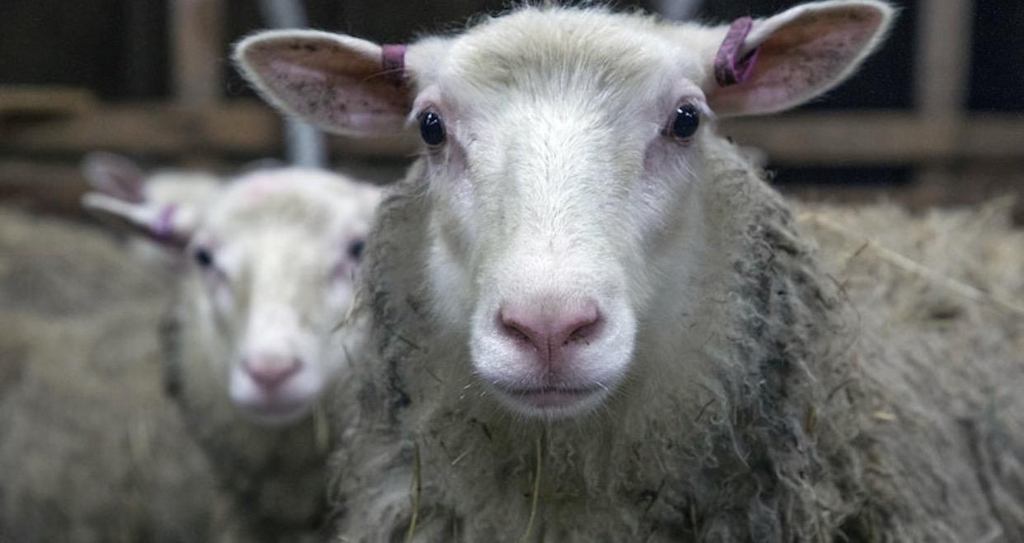 Tervetuloa maatilan omaan verkkokauppaan