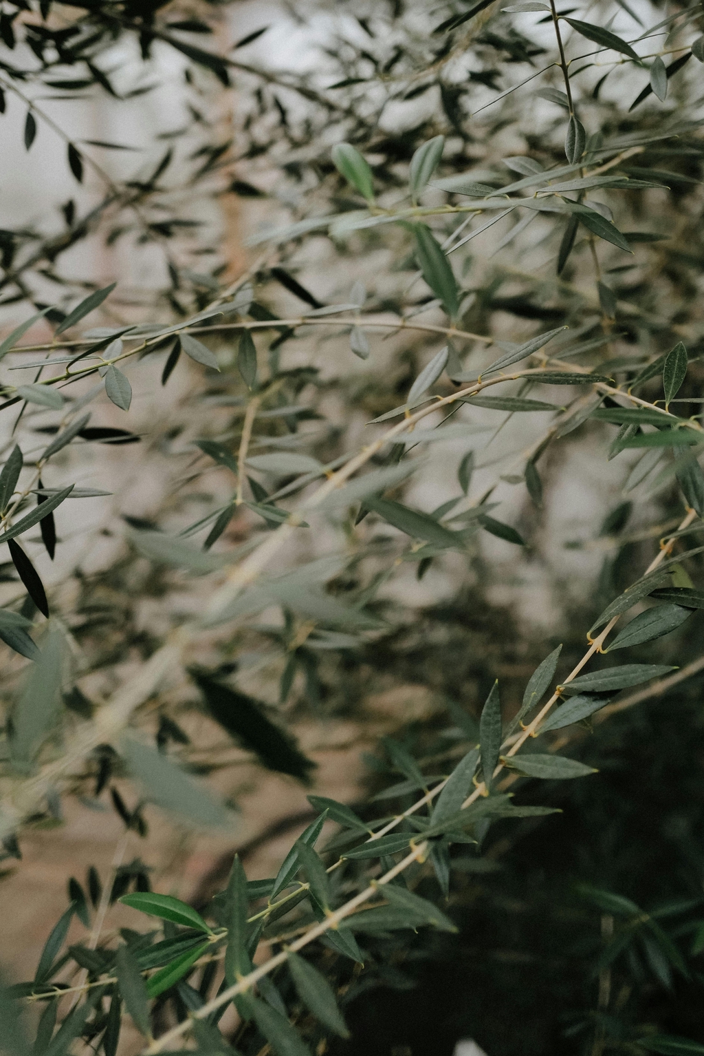 banner_image