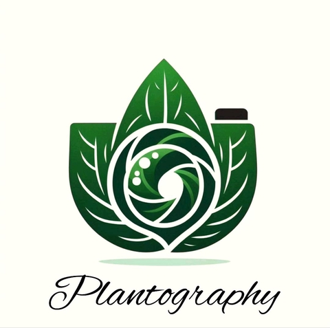 PLANTOGRAPHY