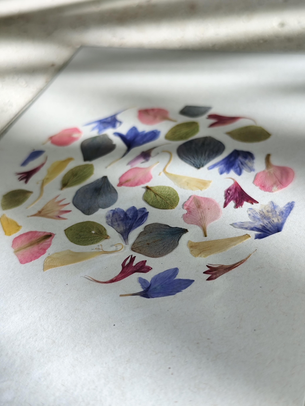 Créations faites à la main, avec des fleurs séchées et pressées. Pour la maison, à offrir ou a s'offrir. Pièce unique. Couleurs variées. 