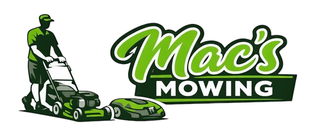 store_logo