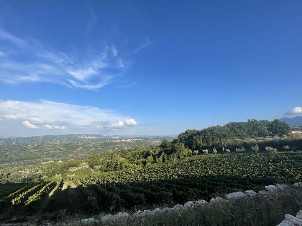 “italian-wine-bar-great-yarmouth”
“wine-tasting-great-yarmouth”
“southern-italian-wines”
“italian-wine-bar-gorleston”
“wine-tasting-gorleston”