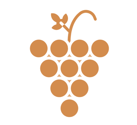 Via Vigna isn’t just a wine shop.
It’s a journey through Southern Italy — told through the people, the vineyards, and the stories behind every bottle.

Every wine is hand-selected, tasted, and chosen for a reason — not because it’s trendy, but because it’s exceptional.