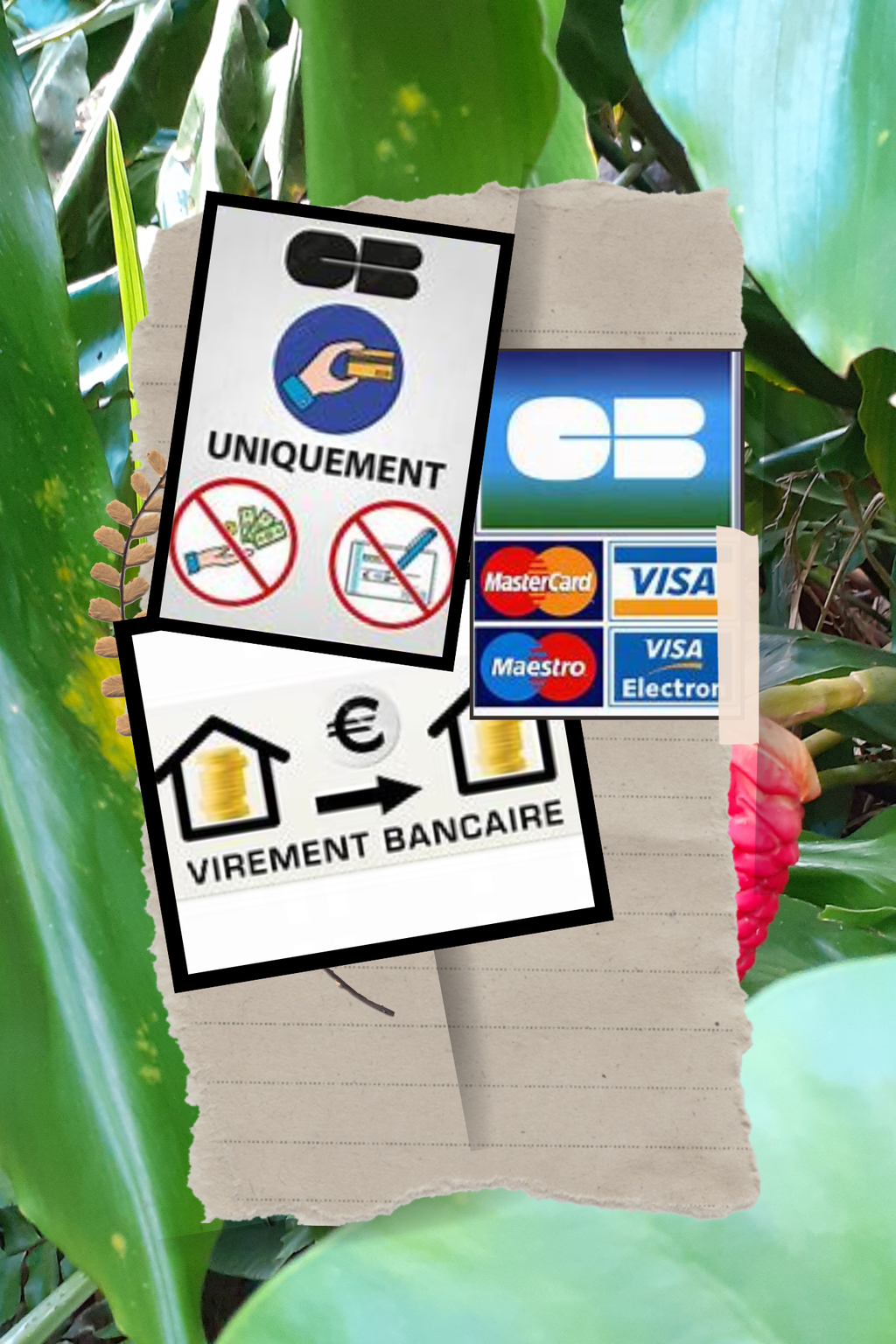 Naturopathe GUADELOUPE
Massages bien-être à domicile