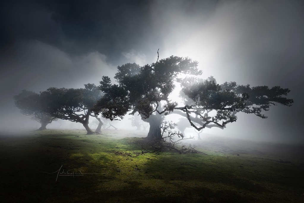 Bienvenue dans ma boutique