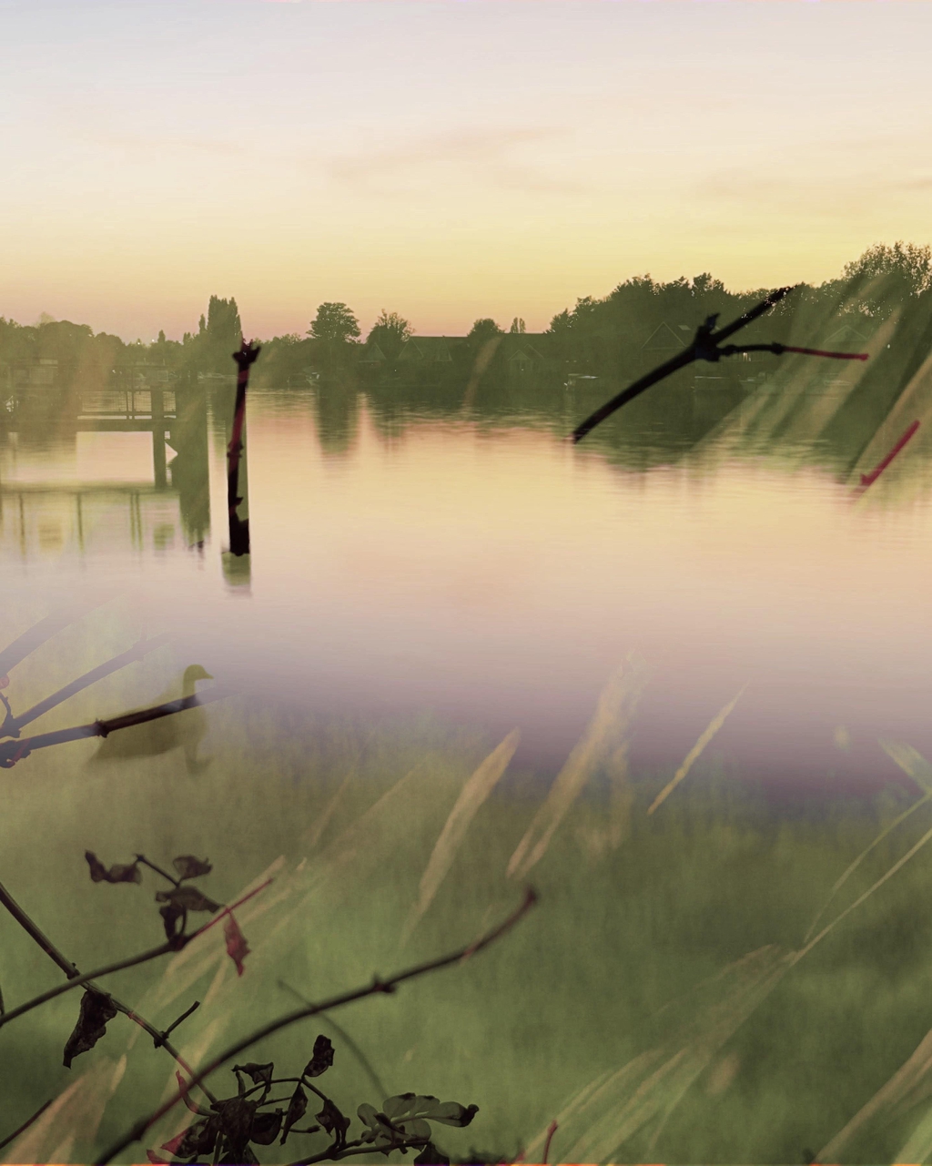 Capturing the essence of river life in Surrey in the most meaningful way…