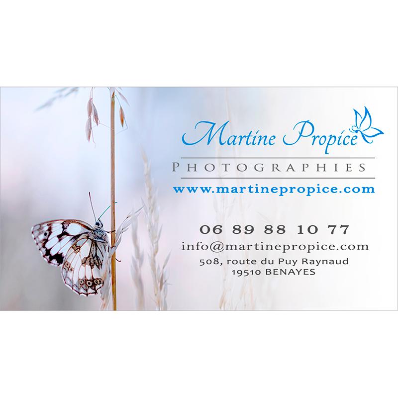 Martine Propice, stage photo nature en Limousin