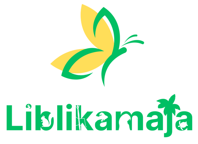 store_logo