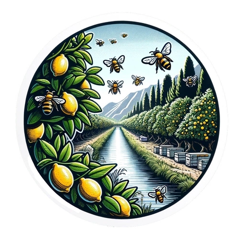store_logo