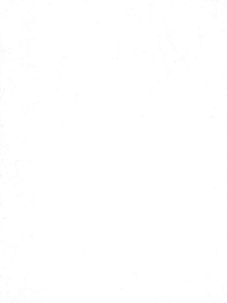 Deine Fahrschule im Mühlenkreis – Modern, Innovativ und Flexibel
Lerne bei der modernsten Fahrschule in deiner Region! Mit bis zu 16 Unterrichtseinheiten pro Woche bieten wir dir maximale Flexibilität und individuelle Betreuung. Unsere innovative Ausstattung und erfahrenen Fahrlehrer garantieren dir eine erstklassige Ausbildung. Starte jetzt durch – der Führerschein war noch nie so greifbar!