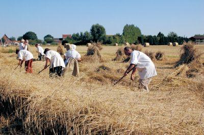 2026/08 - LA HAMAIDE (Ellezelles) (BE)