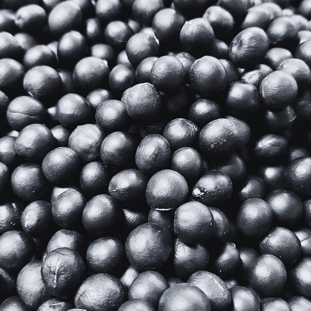 graine-de-savonnette-symbolique-esoterique-spiritualite-bijoux-bracelet-collier-boucles-d-oreilles-protection-energie-naturelle-vegetale-wildwood-nature