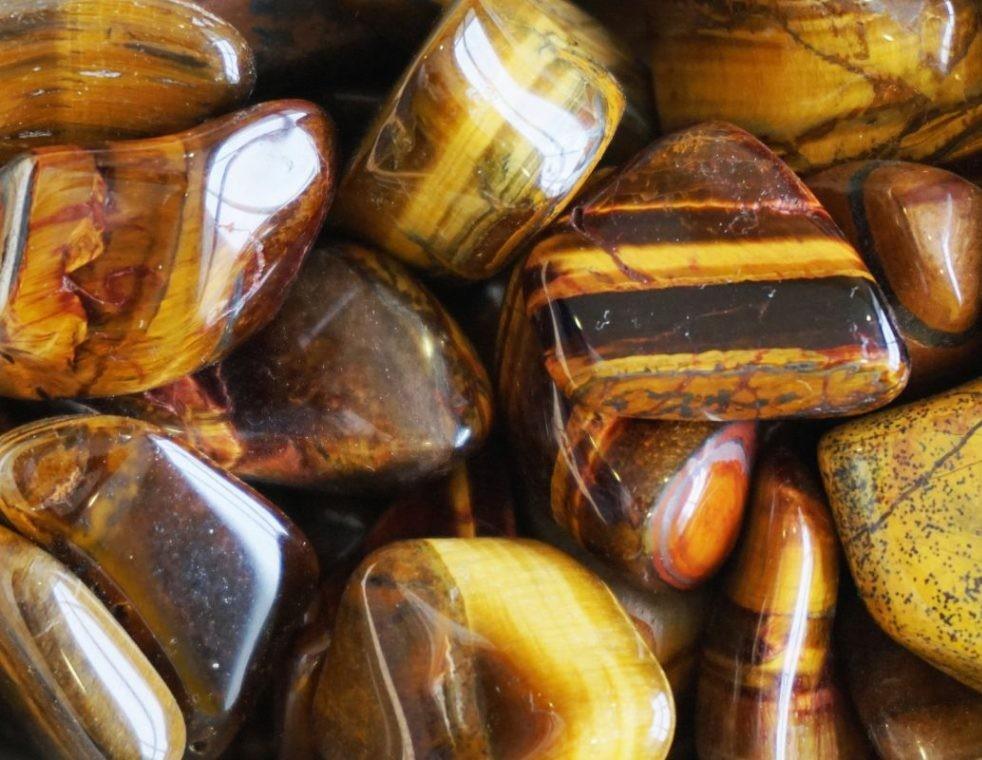 wildwood-pierre-semi-precieuse-oeil-du-tigre-graine-bijoux-collier-bracelet-boucles-d-oreilles-spiritualite-esoterique-symbolique-energie-naturelle-nature-vegetale-creation-chakra