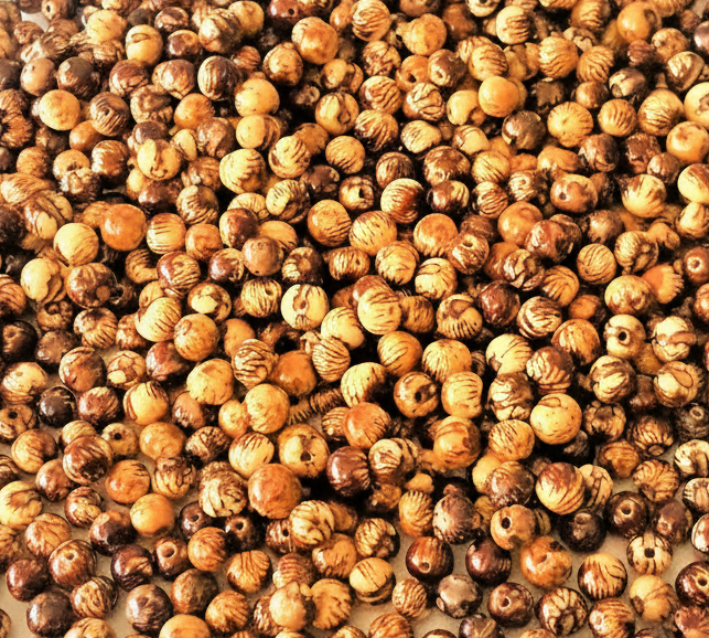 graine-d-acaï-symbolique-esoterique-spiritualite-bijoux-bracelet-collier-boucles-d-oreilles-protection-energie-naturelle-vegetale-wildwood-nature