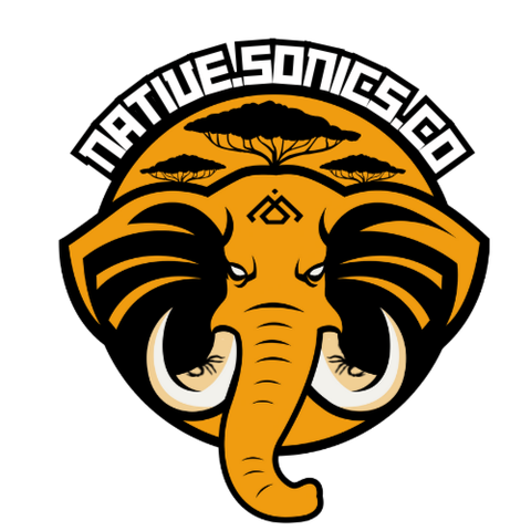 Native Sonics Collective