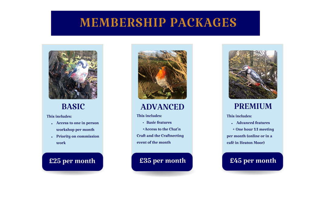 three different packages including different features