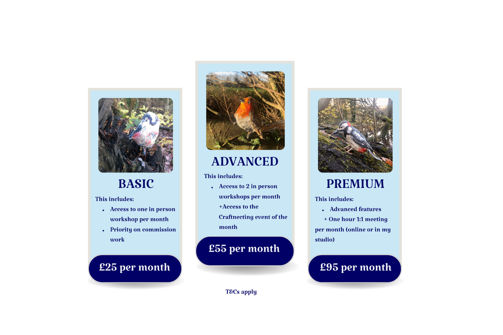 three different packages including different features