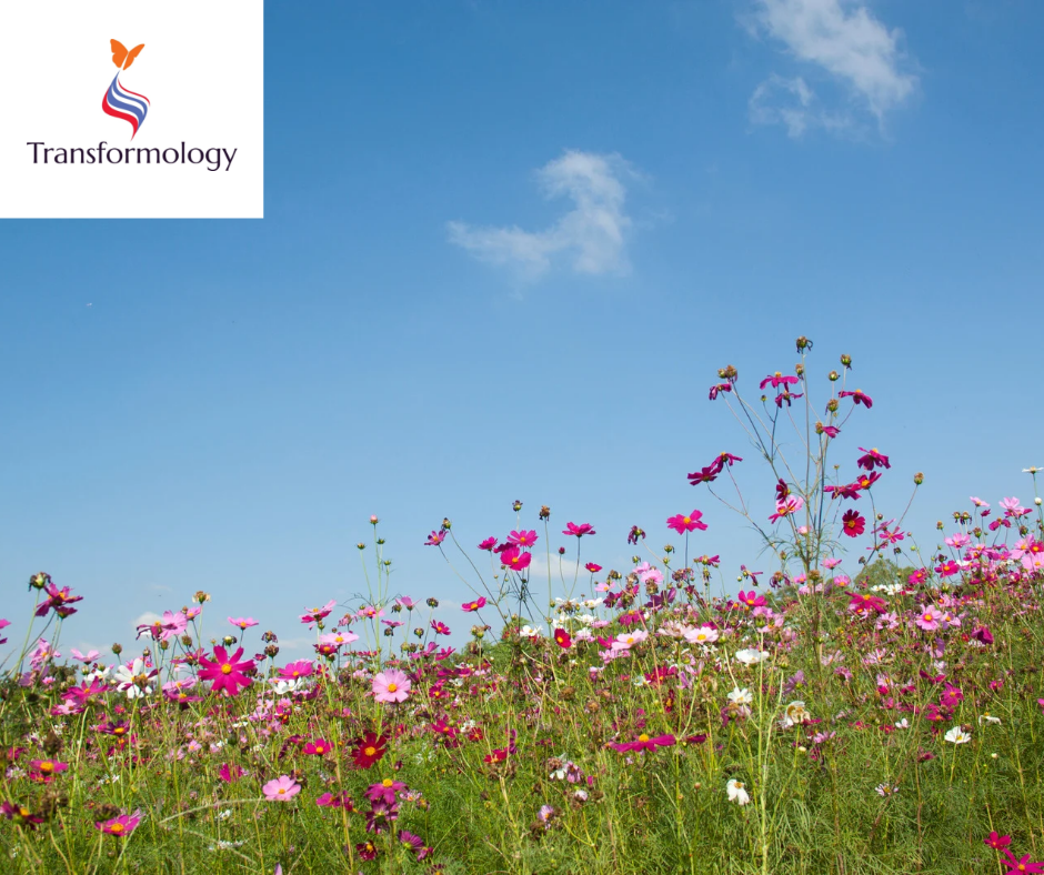 Live Your Life Don't Just Exist!
It's Your Life, Live It On Purpose In Your Own Unique Way!