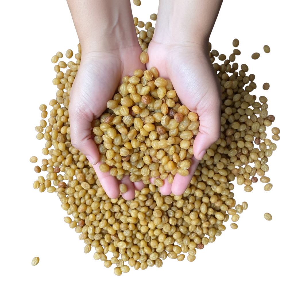 Akpi Seeds