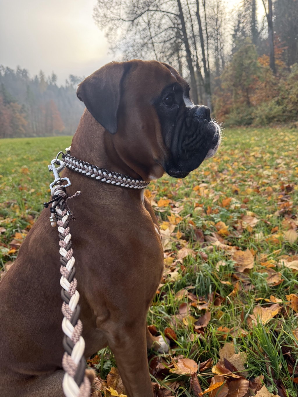 product_list_image_cover