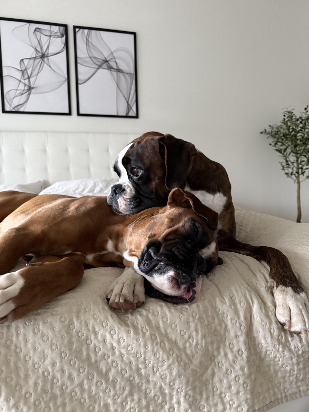 15% Rabatt mit dem Code WELCOME15 bis 30. November 25🎉
