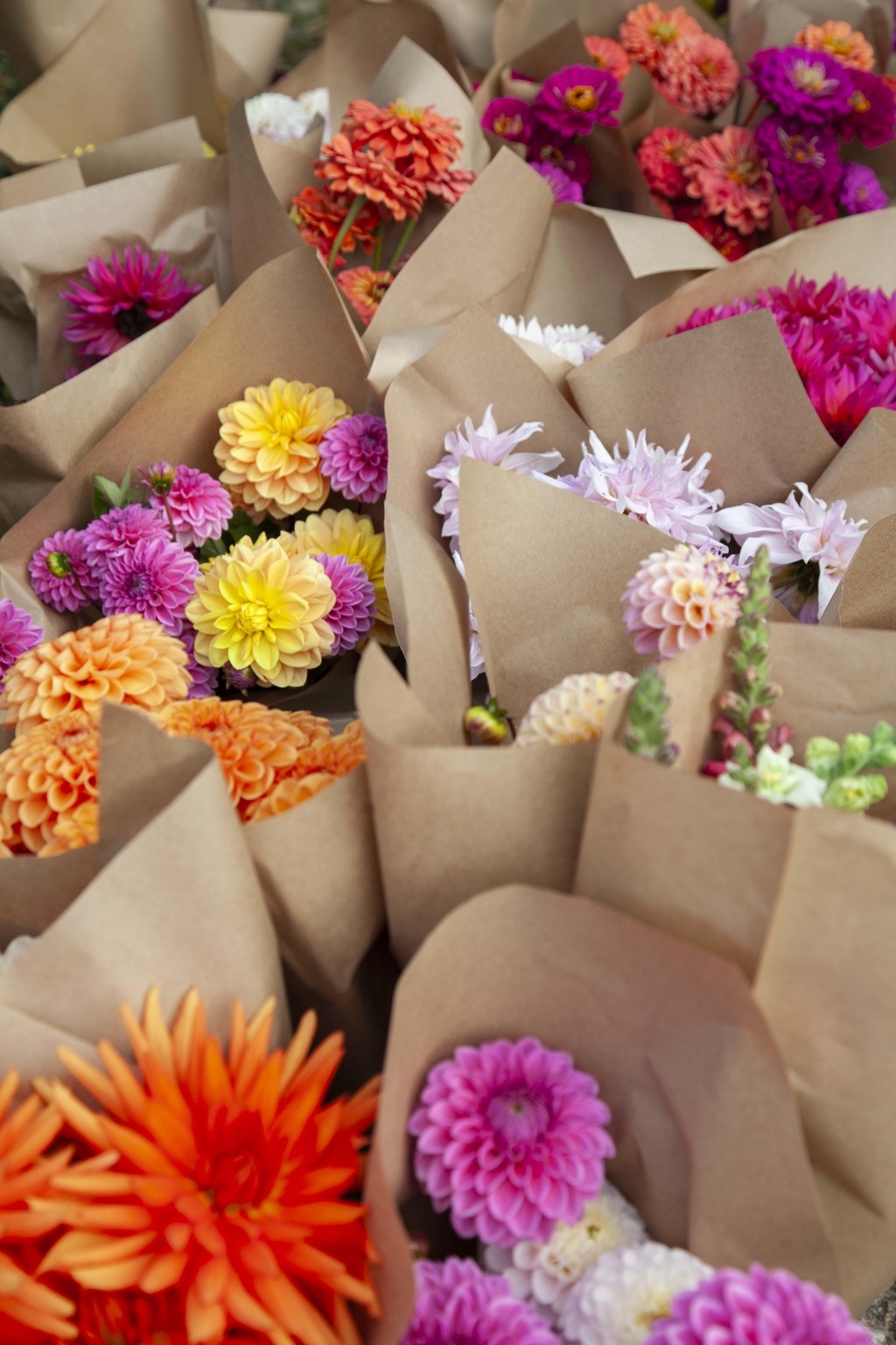 Des fleurs françaises, locales et de saison