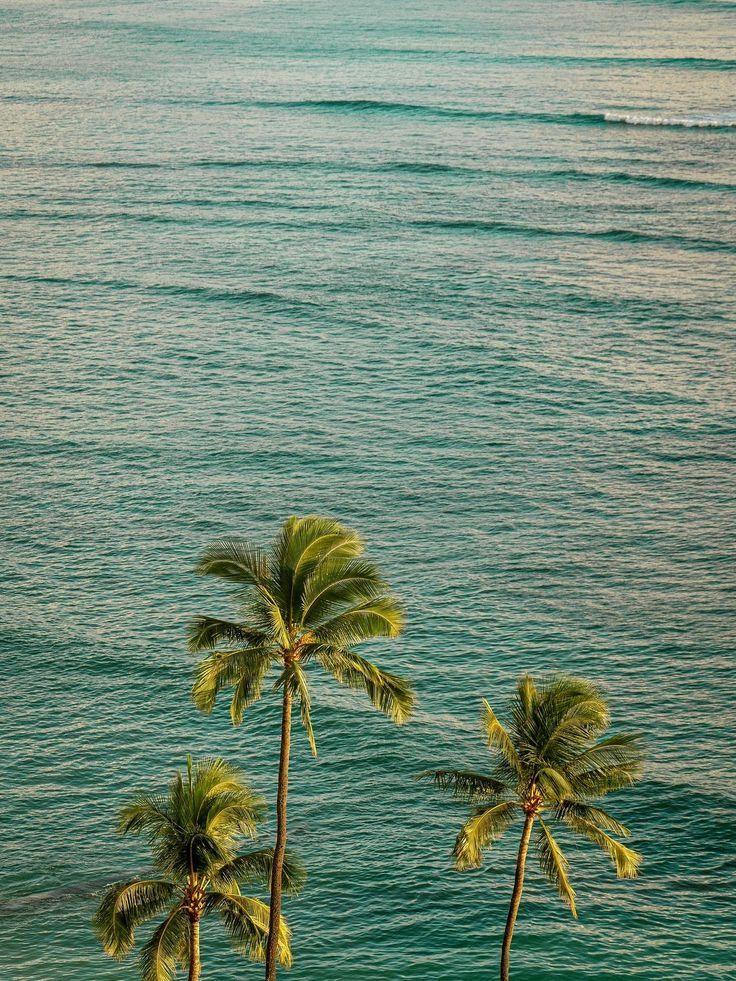 Marque de Mode Balnéaire Minimaliste & Chic – Vêtements et Accessoires de Plage