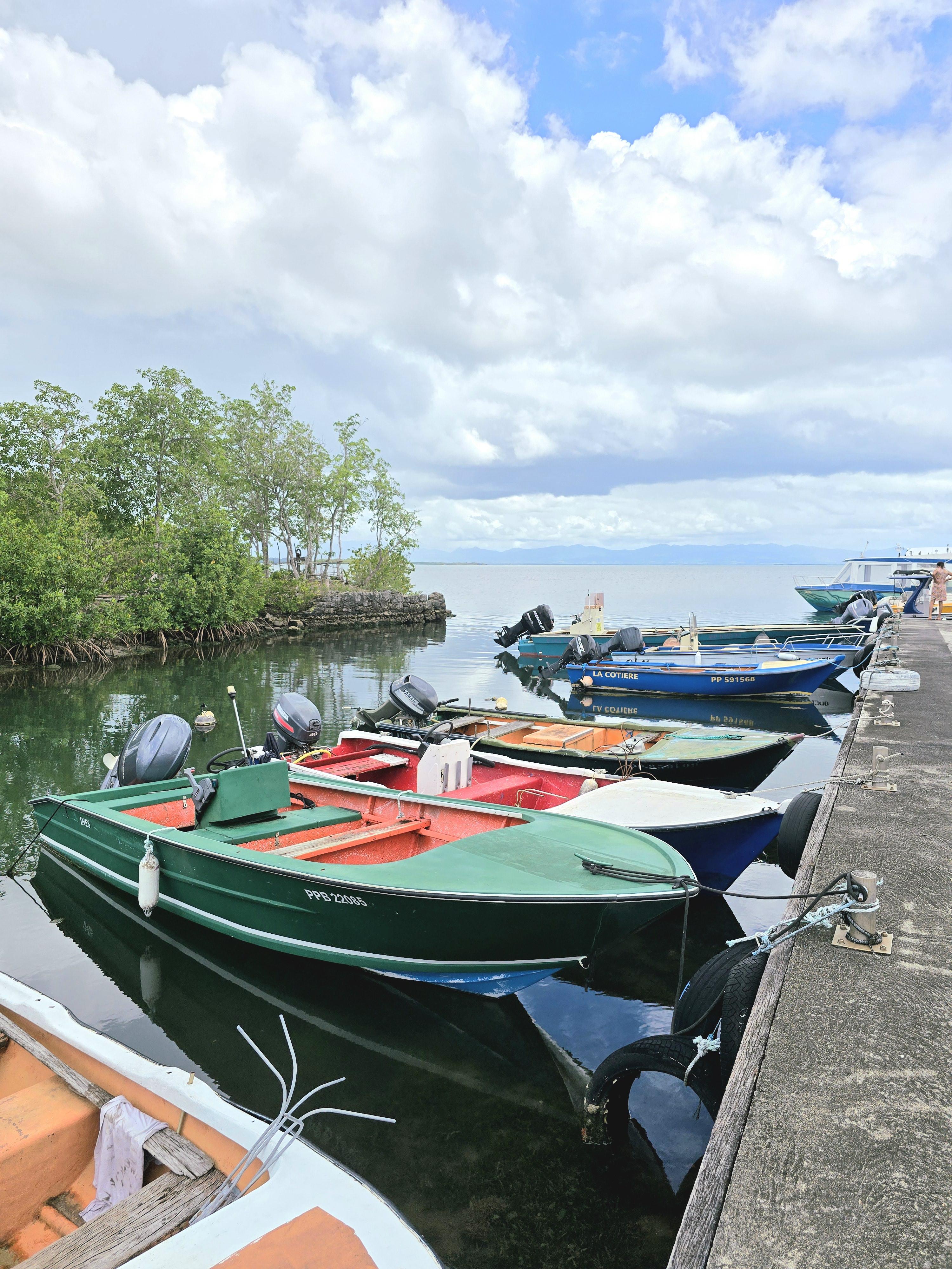 Excursion Nord Grande-Terre