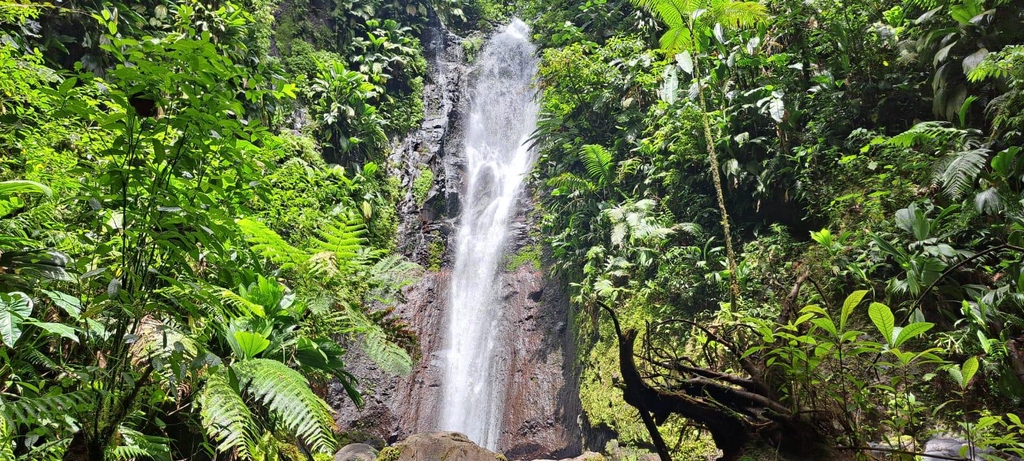 Excursions 4x4 en Guadeloupe – Découvrez l'île autrement en randonnée 