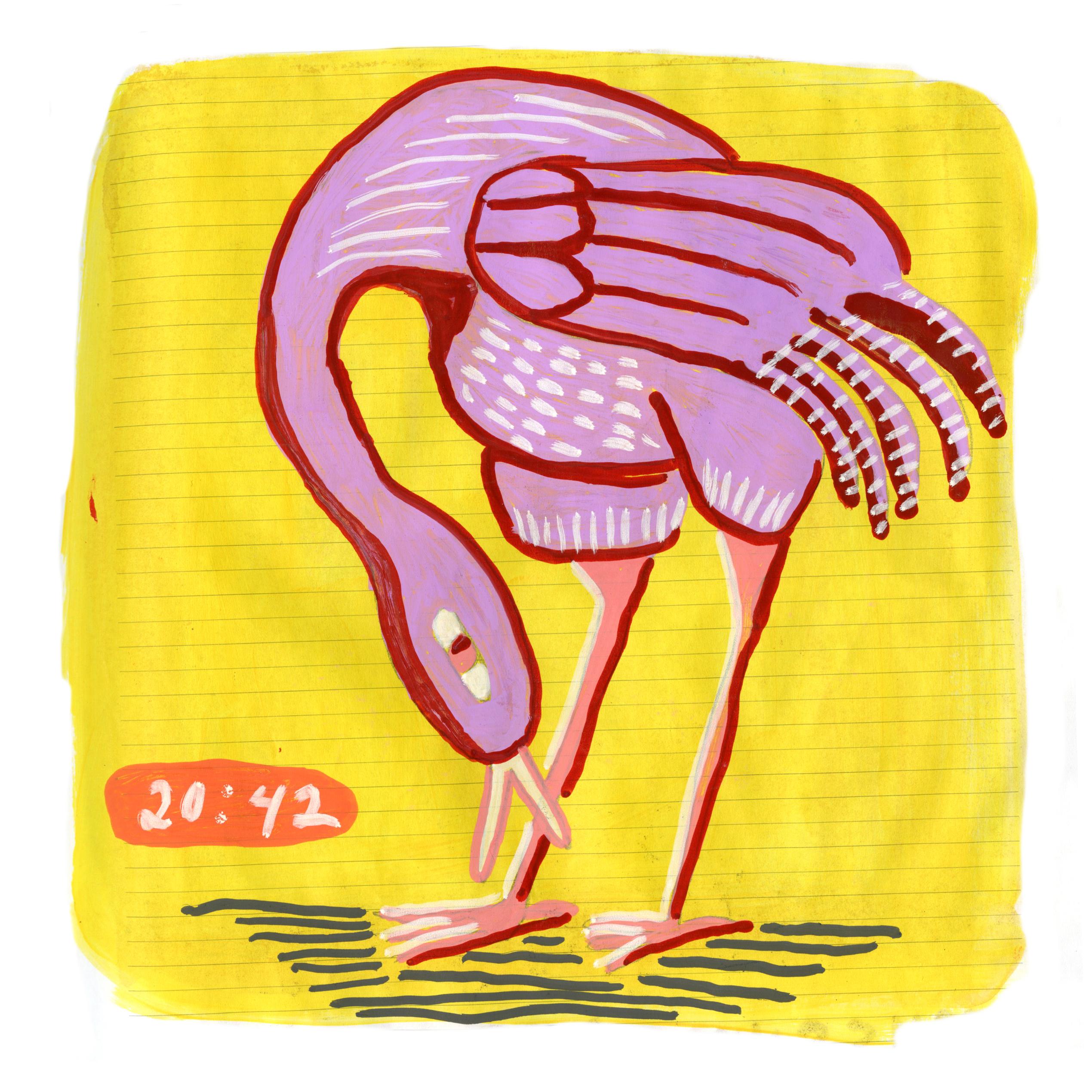Self-portrait as flamingo