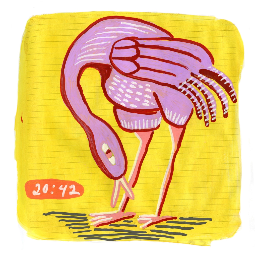 Self-portrait as flamingo