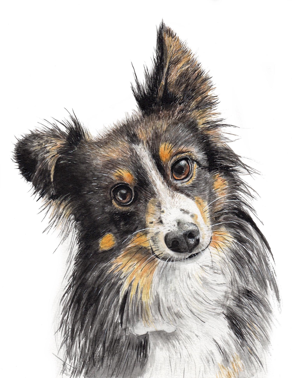 Portrait sur commande