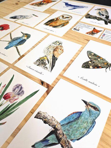 product_list_image_cover