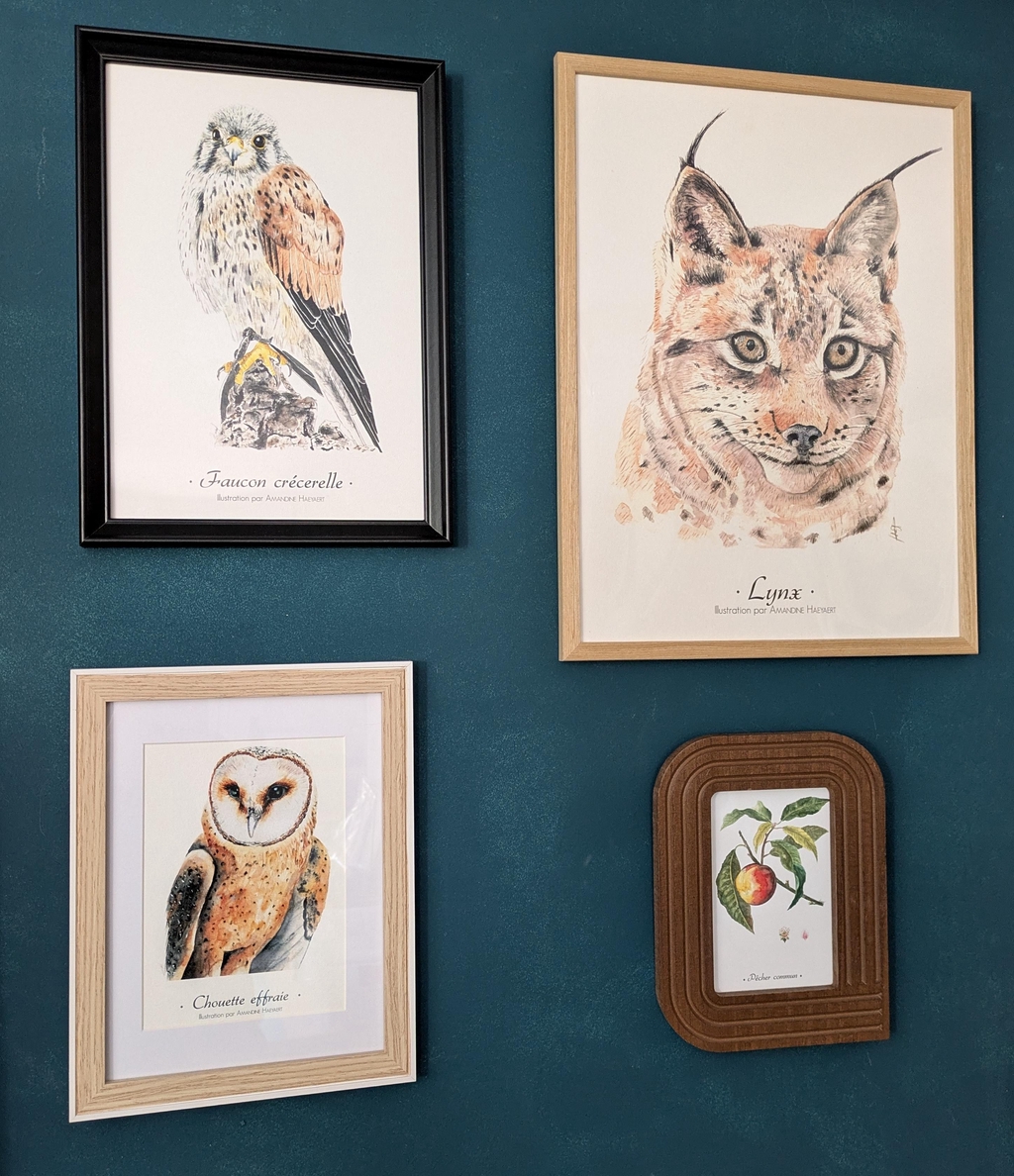 product_list_image_cover