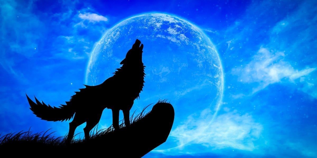 Saga Destins Lunaires - Urban Fantasy par Rubenia Timmerman.