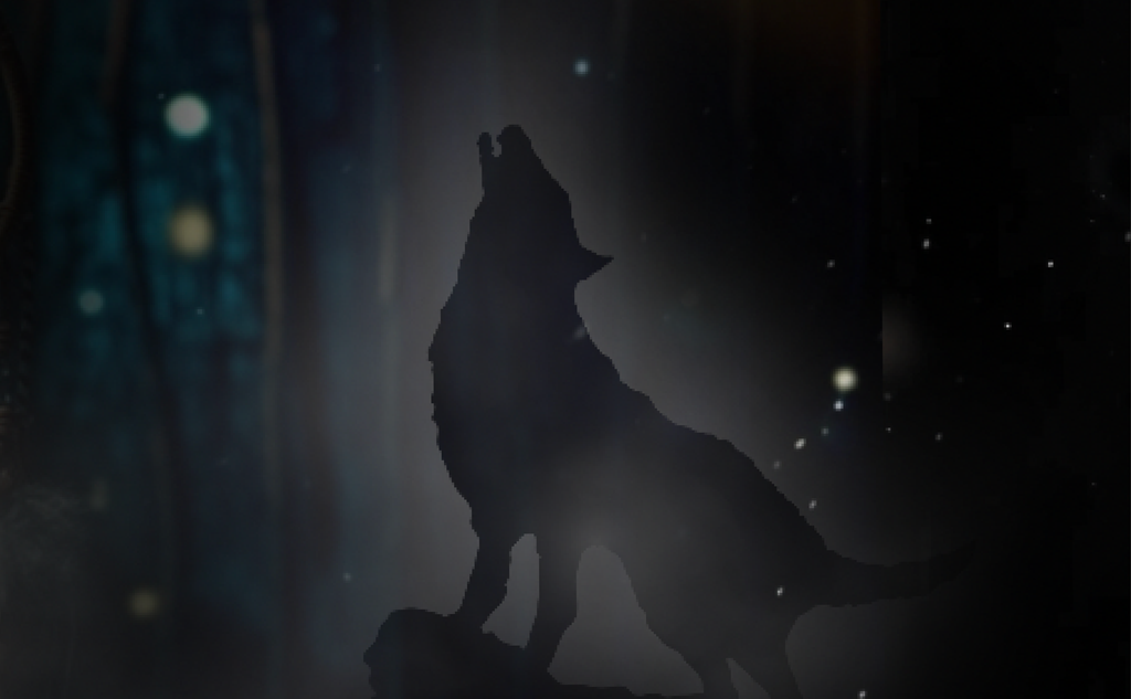 Loup qui hurle sur un fond étoilé - Rubenia Timmerman, romancière.