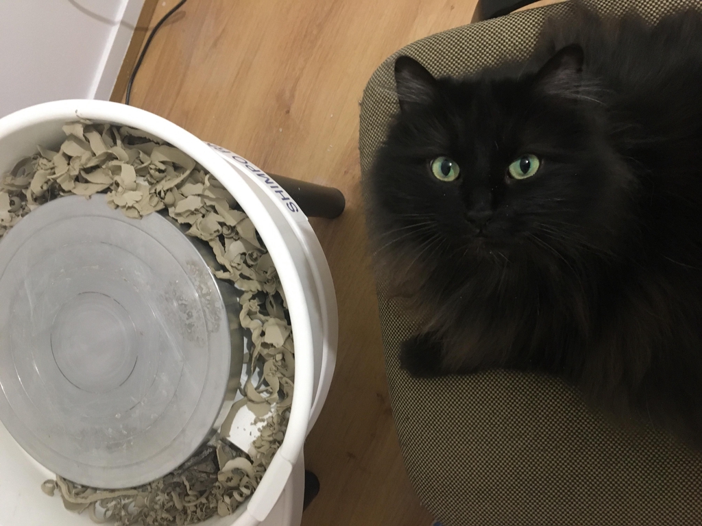 Le chat à l'atelier. Mon tour de potier et mon acolyte. Chat qui aide à faire de la poterie. Chat potier à Chambéry