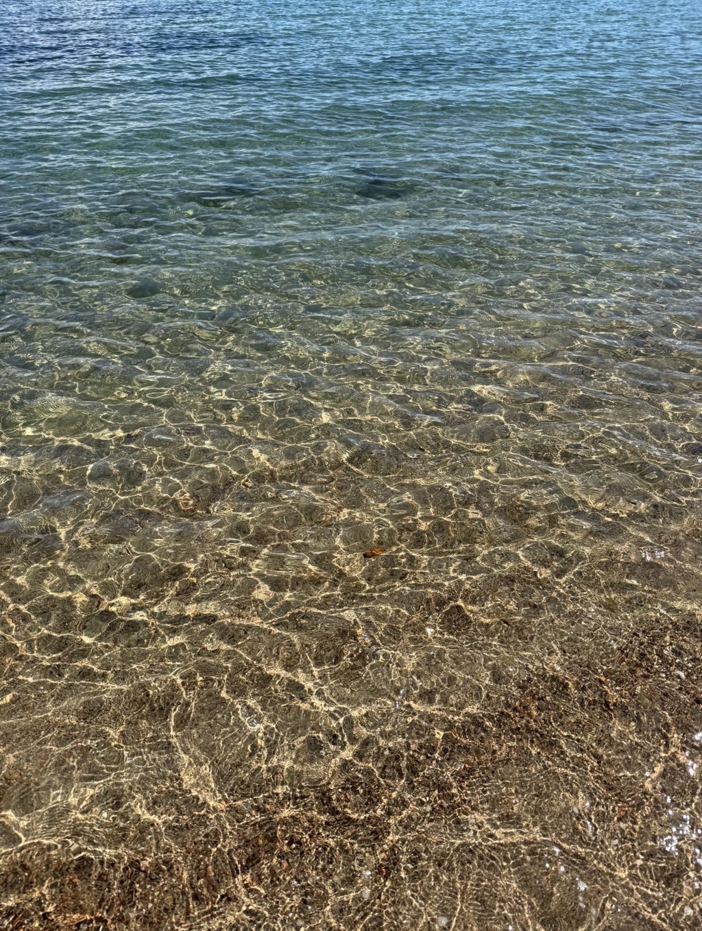 banner_image