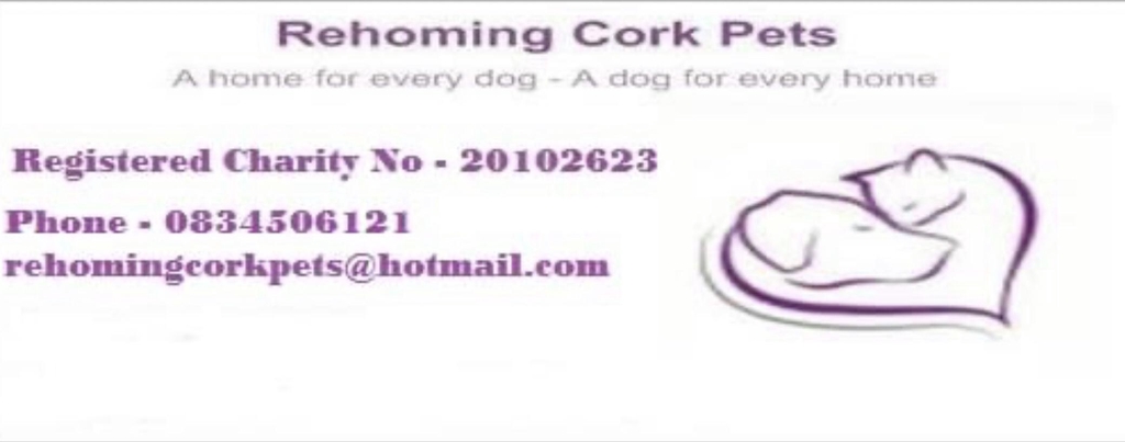 Rehoming Cork Pets Shopping 