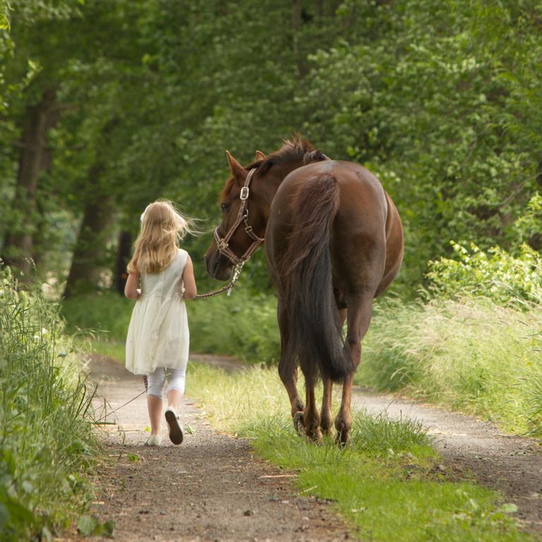 © FurryCookieCompany.de