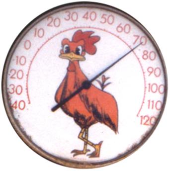 Music of Guy Tortora
Online Shop