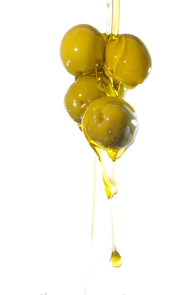 Olio e Olive