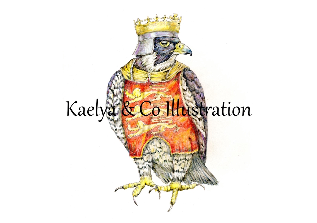 British birds as Robin hood characters. 