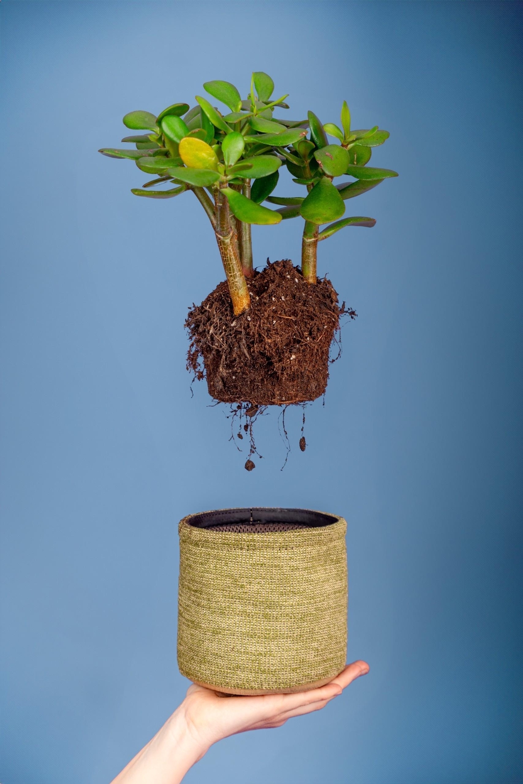 Des pots spécialement conçus pour la croissance des plantes, afin qu'elles aient l'apport en eau et en oxygène nécessaire pour un développement racinaire optimal.